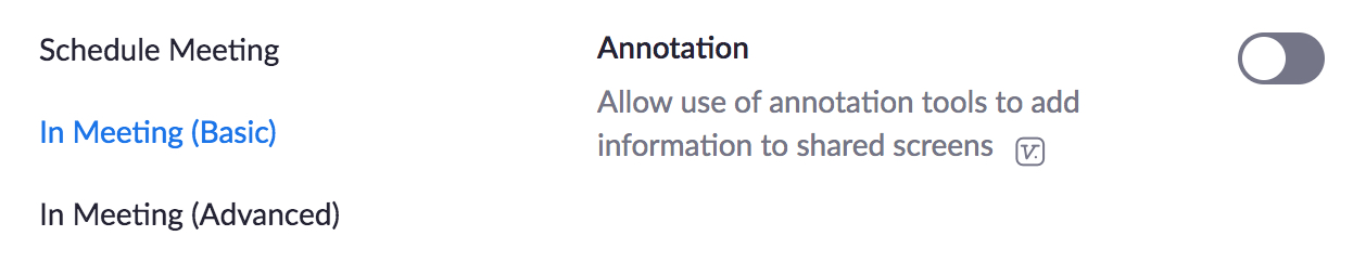 annotate in zoom